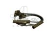 ASAM 30363 Ignition Cable Kit